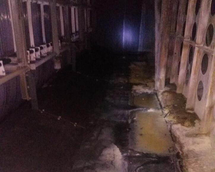 ���B��ע�ϏS��